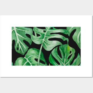 Monstera deliciosa leaves pattern Posters and Art